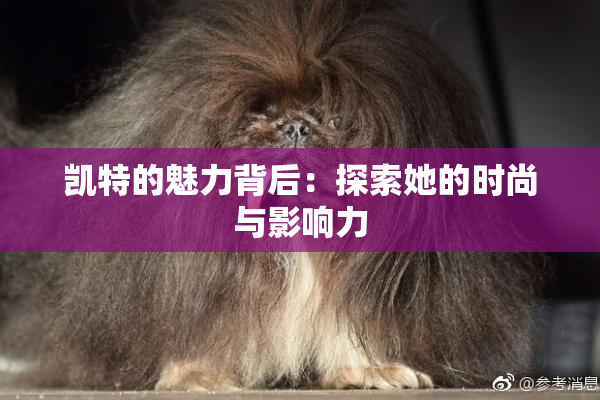 凯特的魅力背后：探索她的时尚与影响力