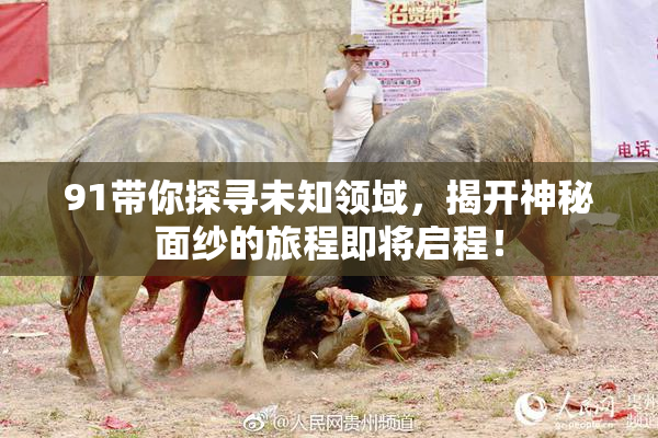 91带你探寻未知领域，揭开神秘面纱的旅程即将启程！