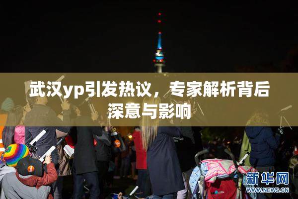 武汉yp引发热议，专家解析背后深意与影响
