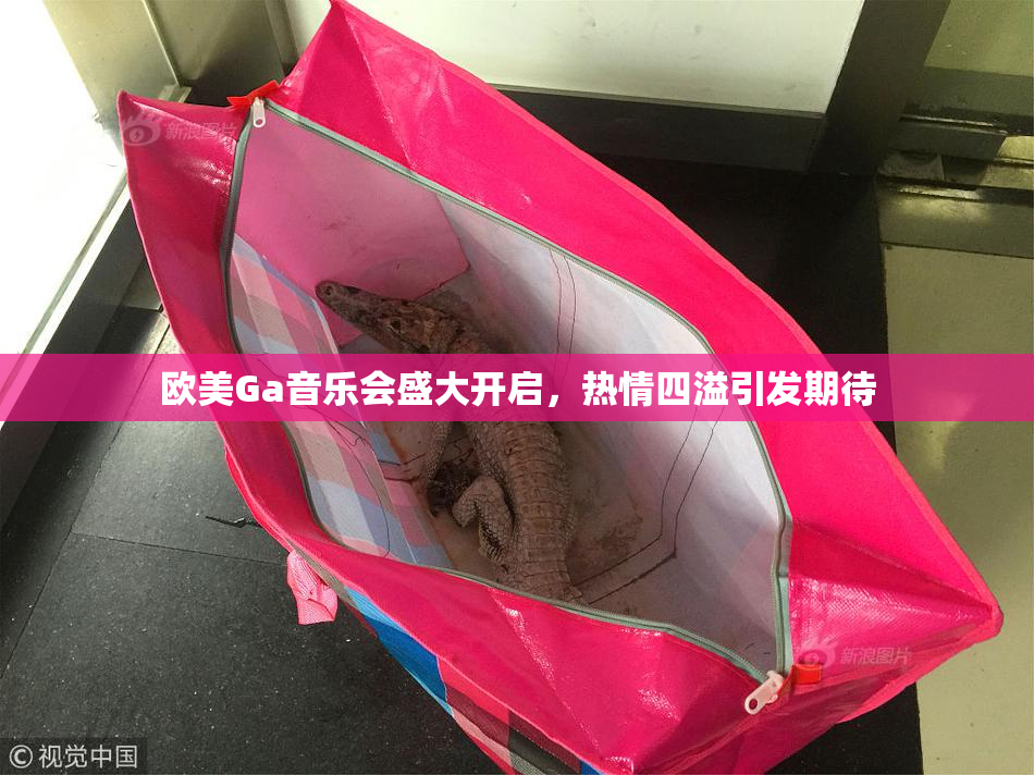 欧美Ga音乐会盛大开启，热情四溢引发期待