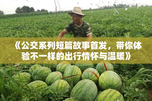 《公交系列短篇故事首发，带你体验不一样的出行情怀与温暖》