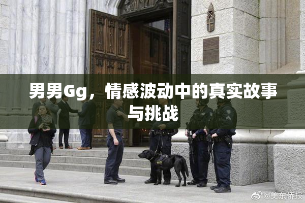 男男Gg，情感波动中的真实故事与挑战