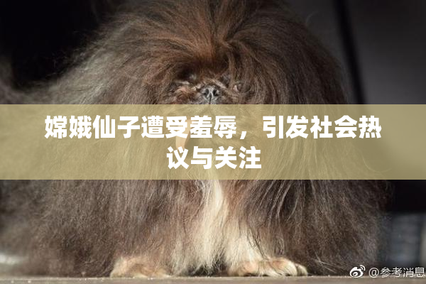 嫦娥仙子遭受羞辱，引发社会热议与关注