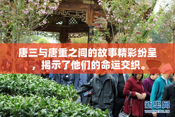 唐三与唐重之间的故事精彩纷呈，揭示了他们的命运交织。