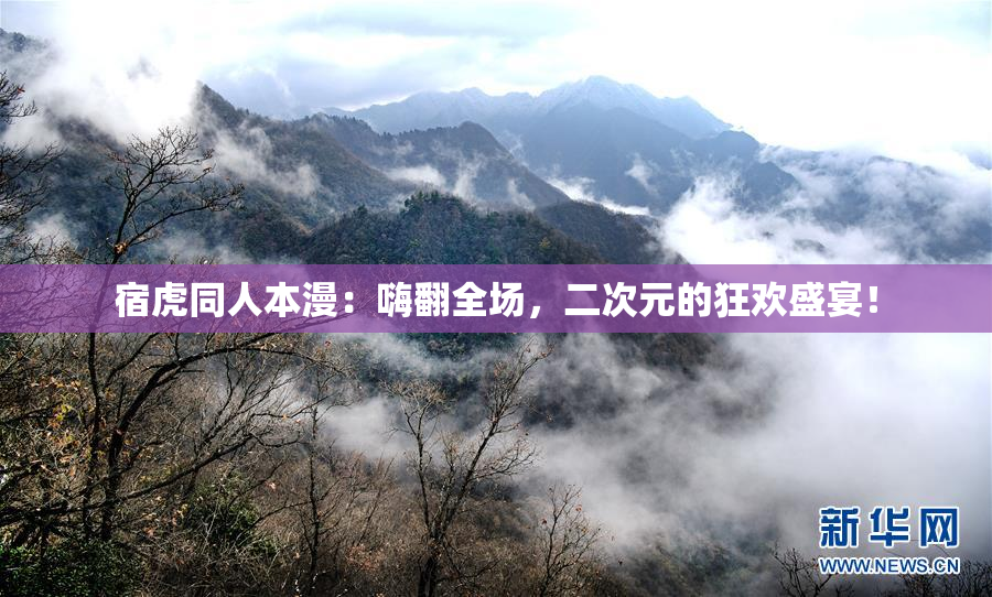 宿虎同人本漫：嗨翻全场，二次元的狂欢盛宴！