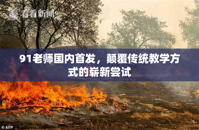 91老师国内首发，颠覆传统教学方式的崭新尝试