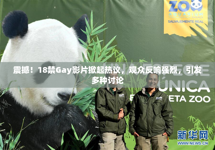 震撼！18禁Gay影片掀起热议，观众反响强烈，引发多种讨论
