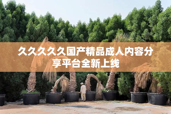 久久久久久国产精品成人内容分享平台全新上线