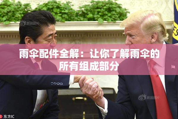 雨伞配件全解：让你了解雨伞的所有组成部分
