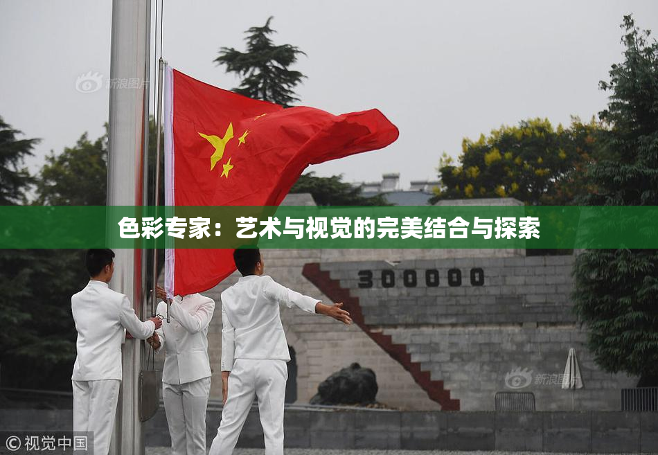 色彩专家：艺术与视觉的完美结合与探索
