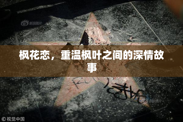 枫花恋，重温枫叶之间的深情故事