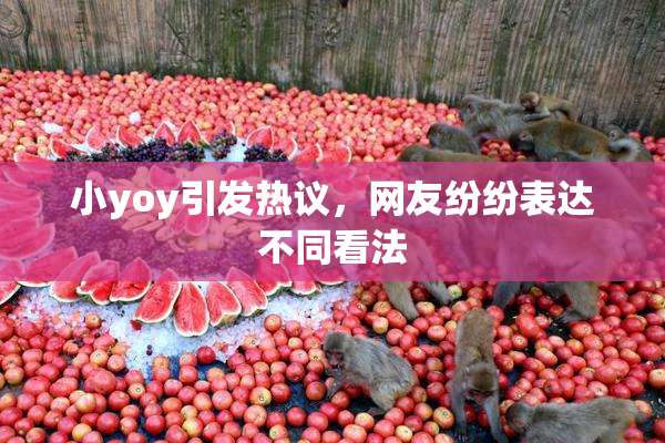 小yoy引发热议，网友纷纷表达不同看法
