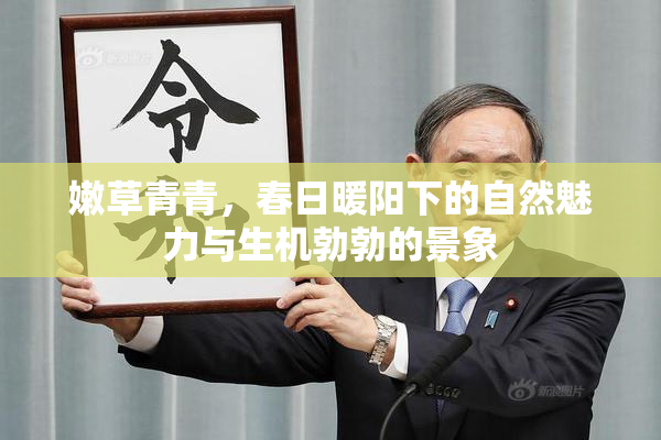 嫩草青青，春日暖阳下的自然魅力与生机勃勃的景象