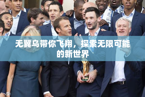 无翼乌带你飞翔，探索无限可能的新世界