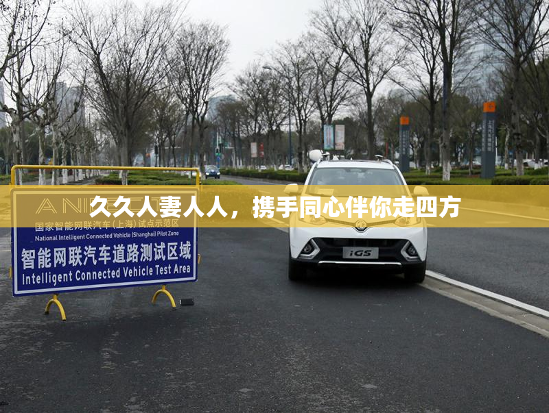 久久人妻人人，携手同心伴你走四方