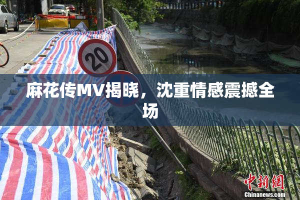 麻花传MV揭晓，沈重情感震撼全场