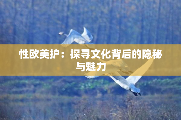 性欧美护：探寻文化背后的隐秘与魅力