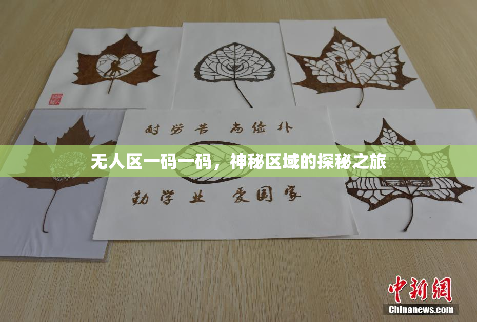 无人区一码一码，神秘区域的探秘之旅