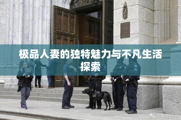 极品人妻的独特魅力与不凡生活探索
