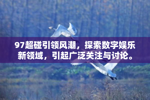 97超碰引领风潮，探索数字娱乐新领域，引起广泛关注与讨论。