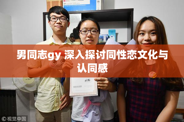 男同志gy 深入探讨同性恋文化与认同感