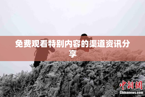 免费观看特别内容的渠道资讯分享