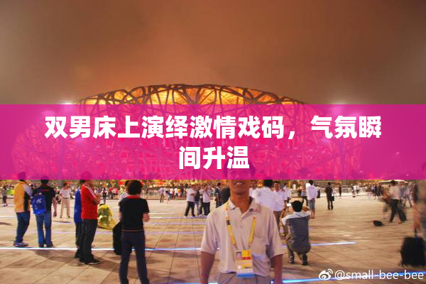 双男床上演绎激情戏码，气氛瞬间升温