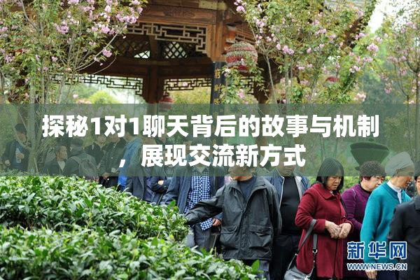 探秘1对1聊天背后的故事与机制，展现交流新方式