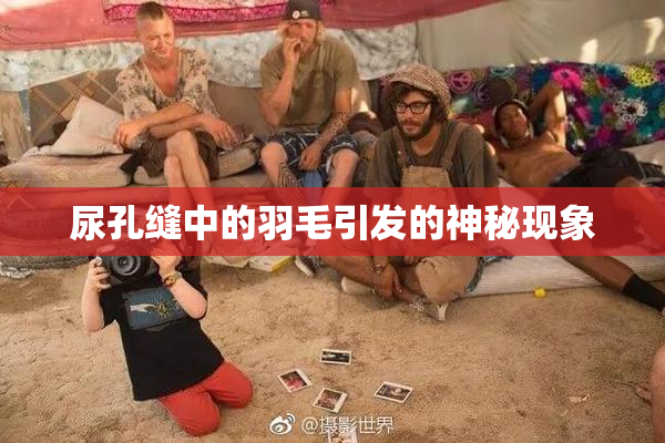 尿孔缝中的羽毛引发的神秘现象