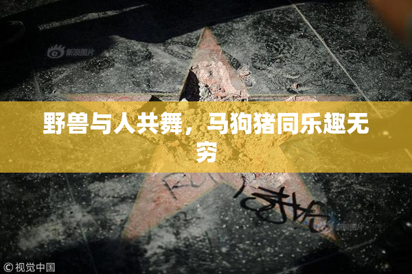 野兽与人共舞，马狗猪同乐趣无穷