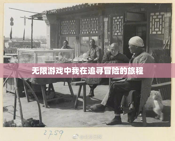 无限游戏中我在追寻冒险的旅程