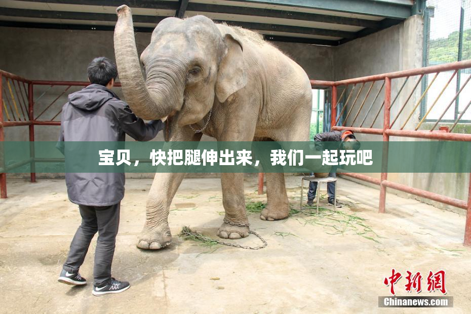 宝贝，快把腿伸出来，我们一起玩吧