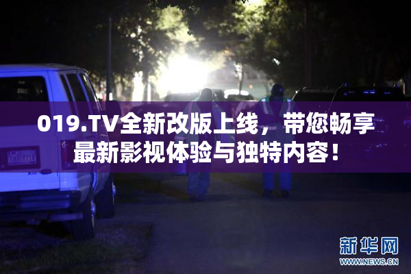 019.TV全新改版上线，带您畅享最新影视体验与独特内容！