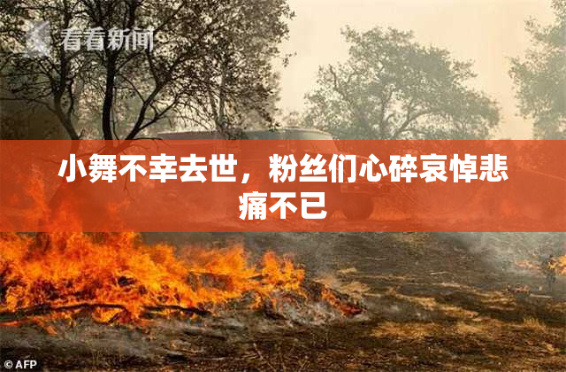 小舞不幸去世，粉丝们心碎哀悼悲痛不已