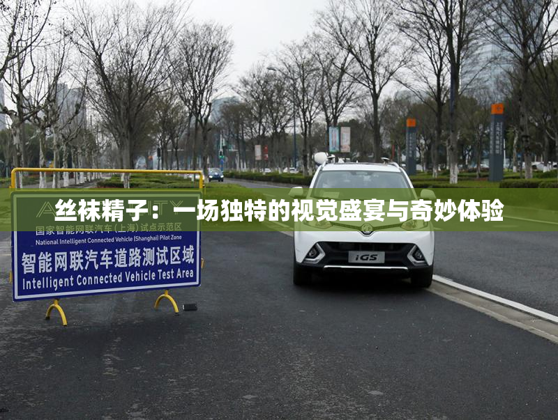 丝袜精子：一场独特的视觉盛宴与奇妙体验