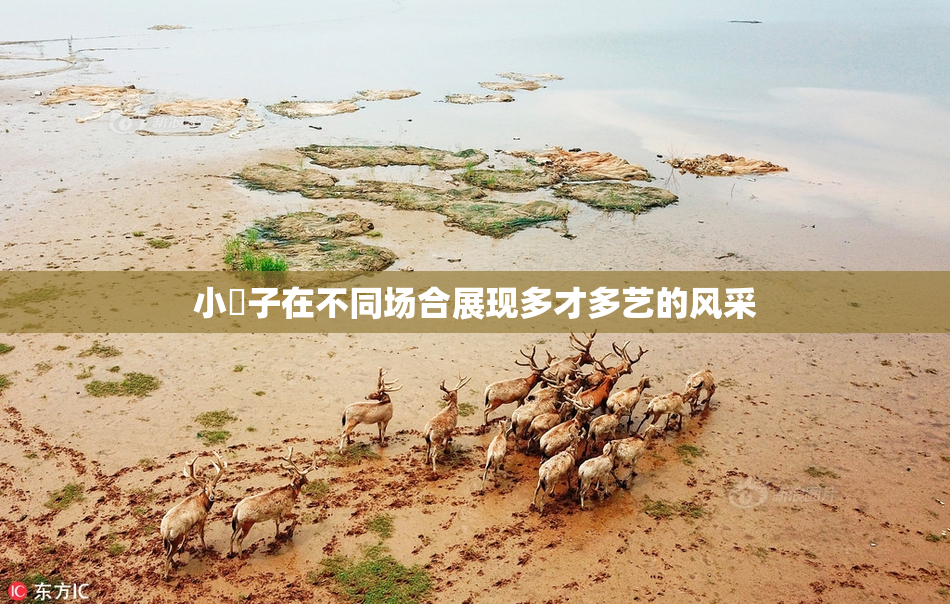 小峓子在不同场合展现多才多艺的风采