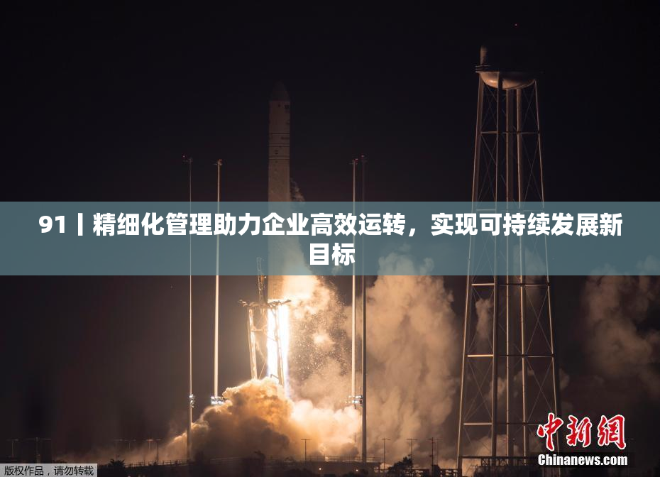 91丨精细化管理助力企业高效运转，实现可持续发展新目标