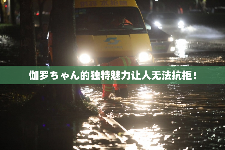 伽罗ちゃん的独特魅力让人无法抗拒！