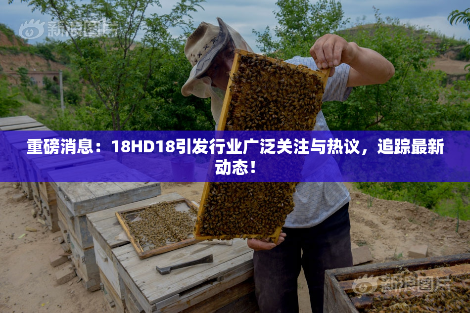 重磅消息：18HD18引发行业广泛关注与热议，追踪最新动态！