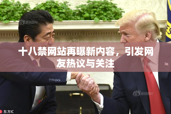 十八禁网站再曝新内容，引发网友热议与关注