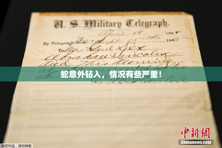 蛇意外钻入，情况有些严重！