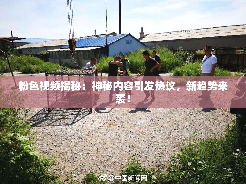 粉色视频揭秘：神秘内容引发热议，新趋势来袭！