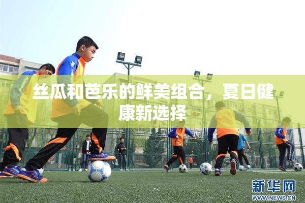 丝瓜和芭乐的鲜美组合，夏日健康新选择