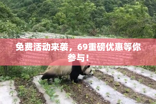 免费活动来袭，69重磅优惠等你参与！