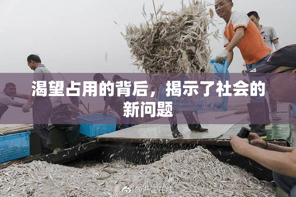 渴望占用的背后，揭示了社会的新问题
