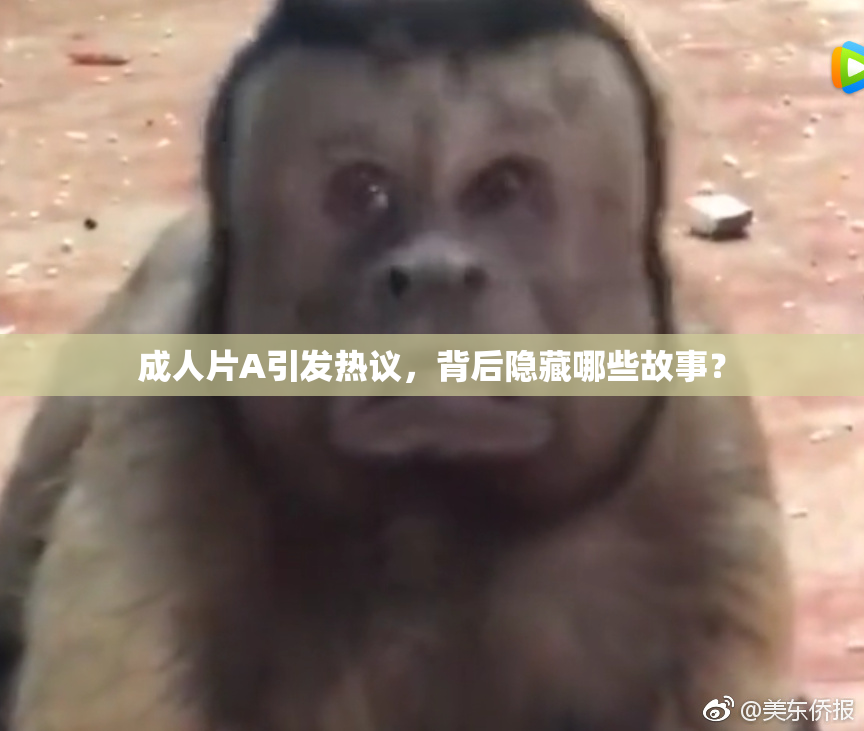 成人片A引发热议，背后隐藏哪些故事？