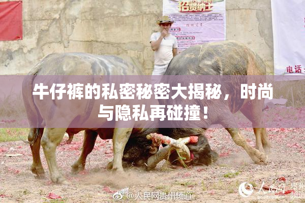 牛仔裤的私密秘密大揭秘，时尚与隐私再碰撞！