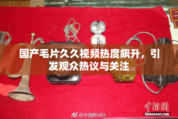 国产毛片久久视频热度飙升，引发观众热议与关注