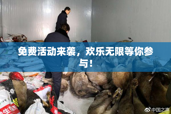 免费活动来袭，欢乐无限等你参与！