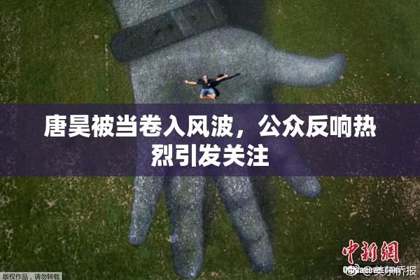 唐昊被当卷入风波，公众反响热烈引发关注